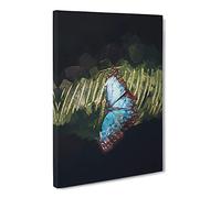 Blue Butterfly Canvas Print | Gallery Wrapped 30mm Frame Wall Art | 20x14 inches | Ready to Hang | Abstract Animals Picture | Living Room Bedroom Lounge Office