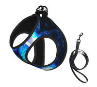 Blue Butterfly Compact Pet Suspender Vest-The Perfect Small Pet For A Comfortable Walk