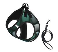 Blue Butterfly Green Butterfly And Stone Print Pet Leash Vest,For Small Dogs,Adjustable And Comfortable Cat Puppy Essentials