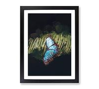 Blue Butterfly In Abstract Modern Framed Wall Art Print, Ready to Hang Picture for Living Room Bedroom Home Office Décor, Black A4 (34 x 25 cm)