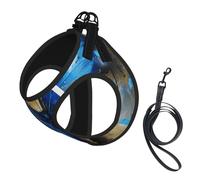 Blue Butterfly Print Pet Leash Vest Reflective Adjustable Soft Mesh Vest Breathable For Daily Walks