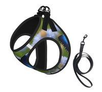 Blue Butterfly Print Step in Dog Harness and Leash Set,Adjustable Reflective Harness for Small Dogs Cats