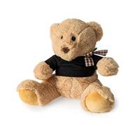 Blue Canyon Teddy Weighted Bear Door Stop - Decorative Sand Filled Animal Doorstop for Floor, Cute Indoor Door Stopper, Gift for Animal Lovers