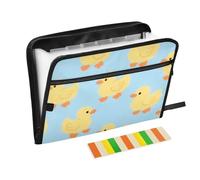 Blue Cartoon Duck Expandable Hanging File 13 Pockets A4 Letter Size with Zipper Closure for Office School