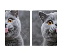 Blue Cat Sticking Out Tongue Passport Holder Passport Wallet PU Leather Passports Protective Cover Slim Travel Accessories
