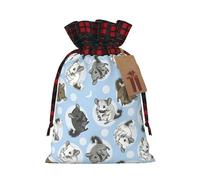 Blue Chinchillas And Moon Print Gift Reusable Bags Festive Drawstring Pouches Birthday Wedding Family Gatherings