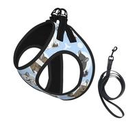Blue Chinchillas And Moon Print Small Dog Harness And Leash Set, Adjustable Soft Vest With 360° Reflective Straps For Cats Puppy