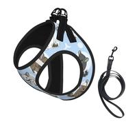 Blue Chinchillas And Moon Printing Puppy Summer Vest Harness With Reflective,Dog Accessories For Small Medium Large Dogs And Cats