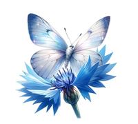 Blue Cornflower Butterfly Vinyl Decal Stickers, Cover Marks, 300mm Tall Qty:1 Ideal for Wall, Car, Glass, Plastic, Bonnet, Door, Van, Bath & More, Large Pretty Flower Graphic