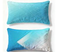 Blue Cushion Covers 16x24in Simplicity Pillows 2 pack Rectangle Cushion Covers,2026 New Velvet Double-Sided Printing Decorative Pillows for Bed Winter Sofa Lndoor Home Bedroom Decorative Gifts Q-303U