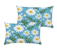 Blue Cushion Covers 30x60 cm/12x24 Inch Waterproof Velvet Garden Cushions Daisy Double Sided Printing Decorative Pillow Covers with Invisible Zipper for Garden Bedroom Living Room, set of 2 1B-709