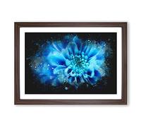 Blue Dahlia Flower Paint Splash Framed Print | A2 Walnut Framed Wall Art | Ready to Hang | Modern Floral Picture | Living Room Bedroom Lounge Office