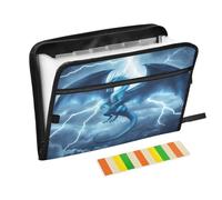 Blue Dragon Lightning Expanding File Folder A4,13 Pockets File Organiser, Paperwork A4 Plastic Wallet Document Storage Expander for School,Office and Home