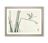 Blue Dragonfly By Kono Bairei Asian Japanese Framed Print | A2 Oak Framed Wall Art | Ready to Hang | Asian Animal Picture | Living Room Bedroom Lounge Office