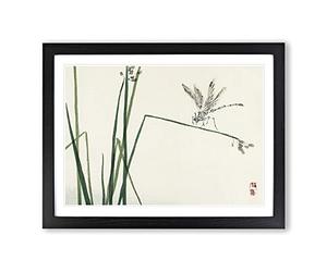 Blue Dragonfly By Kono Bairei Asian Japanese Framed Print | A4 Black Framed Wall Art | Ready to Hang | Asian Animal Picture | Living Room Bedroom Lounge Office
