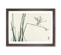 Blue Dragonfly By Kono Bairei Asian Japanese Framed Print | A4 Walnut Framed Wall Art | Ready to Hang | Asian Animal Picture | Living Room Bedroom Lounge Office