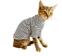 Blue Dream Island Hairless Cat Fleece Striped Pullover Pyjamas_M(Black)