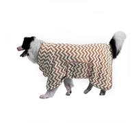 Blue Dream Island Pet Drying Coat,Soft Microfibre Dog Super Absorbent Bathrobe Towel,Adjustable Cat Dog Fast Drying Warm Robe Pajamas for Bath Grooming Travel Swim_XL(Brown)