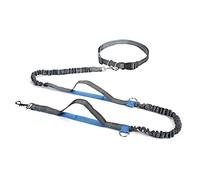 Blue Dual Handle Bungee Leash: Retractable Dog Lead for Running with Large Dogs
