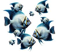 Blue Emperor Fish Vinyl Decal Stickers, Cover Marks, [Qty:9] Size Range 2-11cm Ideal for Bathroom Wall, Toilets, Showers & Laptops. Peel & Stick Tropical Aquarium Tank Graphics (Emperor Blue)