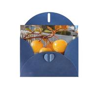 Blue Envelope Greeting Cards With Unique Citrus Gleam Pattern For Write Down Your Blessings For Various Holidays