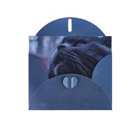 Blue Envelope Greeting Cards With Unique Majestic Cat Pattern For Write Down Your Blessings For Various Holidays