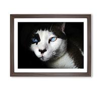 Blue Eyed Cat Modern Framed Wall Art Print, Ready to Hang Picture for Living Room Bedroom Home Office Décor, Walnut A3 (46 x 34 cm)