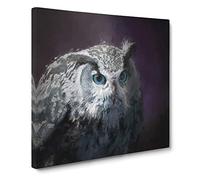 Blue Eyed Eurasian Eagle Owl Canvas Print | Gallery Wrapped 30mm Frame Wall Art | 14x14 inches | Ready to Hang | Modern Animals Picture | Living Room Bedroom Lounge Office
