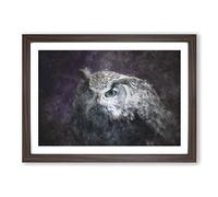 Blue Eyed Eurasian Eagle Owl Framed Wall Art Print A2 Walnut