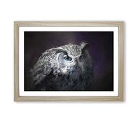 Blue Eyed Eurasian Eagle Owl in Abstract Framed Print | A2 Oak Framed Wall Art | Ready to Hang | Abstract Animal Picture | Living Room Bedroom Lounge Office