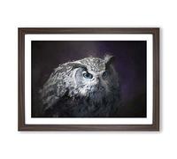Blue Eyed Eurasian Eagle Owl in Abstract Framed Print | A2 Walnut Framed Wall Art | Ready to Hang | Abstract Animal Picture | Living Room Bedroom Lounge Office