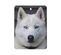 Blue Eyed White Husky Car Air Freshener Hanging, Long Lasting Scented Car Aromatherapy Tablets, Square Fragrance Scented Cards for Vehicles, Bedroom, Wardrobe White-style