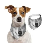 Blue-Eyed Wolf,Dog Bandanas Cotton Pet Scarf Adjustable Bibs for Pet,L