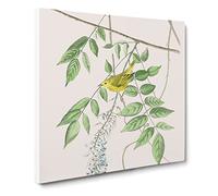 Blue eyed Yellow Warbler Bird by John James Audubon Canvas Print | Gallery Wrapped 30mm Frame Wall Art | 14x14 inches | Ready to Hang | Retro Animals Picture | Living Room Bedroom Lounge Office