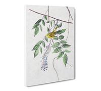 Blue Eyed Yellow Warbler By John James Audubon Vintage Canvas Wall Art Print Ready to Hang, Framed Picture for Living Room Bedroom Home Office Décor, 30x20 Inch (76x50 cm)
