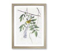 Blue Eyed Yellow Warbler By John James Audubon Vintage Framed Print | A2 Oak Framed Wall Art | Ready to Hang | Classic Nature Picture | Living Room Bedroom Lounge Office