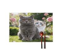 Blue Eyes and Amber Placemats Set of 6,Decorating The Dining Table，Canvas Washable Table Mats，Wipe Clean Anti Slip Dining Table Place Mats for Party Kitchen Dining Decoration