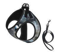Blue Eyes Wolf Print Harness Leash Set For Cat Dog, Reflective Adjustable Escape-Proof Vest Lead With Soft Breathable Mesh, For Small Pets And Kitten Puppy
