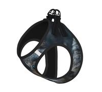 Blue Eyes Wolf Print Harness Leash Set For Cat Dog, Reflective Adjustable Escape-Proof Vest Lead With Soft Breathable Mesh, For Small Pets And Kitten Puppy