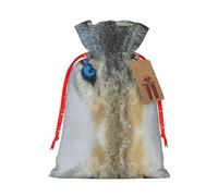 Blue Eyes Wolf Printed Drawstring Gift Bags,Various Sizes, Bulk Plastic Packaging Bags