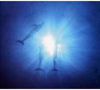 Blue Fantasy -Love & Chill Out With Trance Remixes