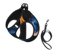 Blue Flame Print Dog Harness Leash Set Reflective Pet Harness Puppy Vest Suitable Dogs Cats Small Breeds