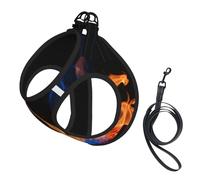 Blue Flame Print Dog Harness Leash Set Reflective Pet Harness Puppy Vest Suitable Dogs Cats Small Breeds