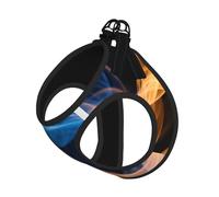 Blue Flame Print Dog Harness,Pet Leash Vest,Adjustable And Reflective Vest,For Small To Medium Dogs