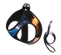 Blue Flame Print Dog Harness,Pet Leash Vest,Adjustable And Reflective Vest,For Small To Medium Dogs