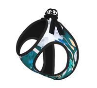 Blue Fly Dragonfly Print Step in Dog Harness and Leash Set,Adjustable Reflective Harness for Small Dogs Cats