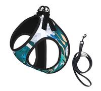 Blue Fly Dragonfly Print Step in Dog Harness and Leash Set,Adjustable Reflective Harness for Small Dogs Cats