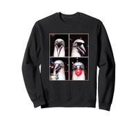 blue-footed boobies funny blue-footed booby Sweatshirt