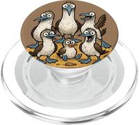 Blue Footed Booby Family Galapagos Islands PopSockets PopGrip for MagSafe