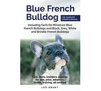 Blue French Bulldog: Care, costs, price, adoption, health, training and how to find breeders and puppies for sale.